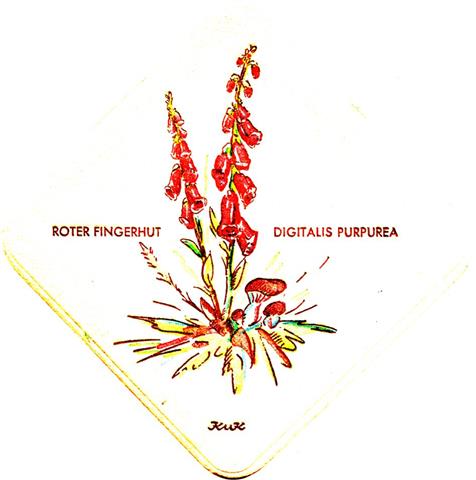 weisenbach ra-bw katz blumen raute 3a (185-roter fingerhut)